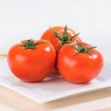 Насіння томату детермінантного Терра Котта F1 Syngenta від 10 шт, Фасовка: Проф упаковка 1 000 шт | Agriks