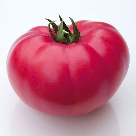Насіння томату індетермінантного КС 3811 F1 Kitano Seeds від 100 шт, Фасовка: Проф упаковка 500 шт | Agriks