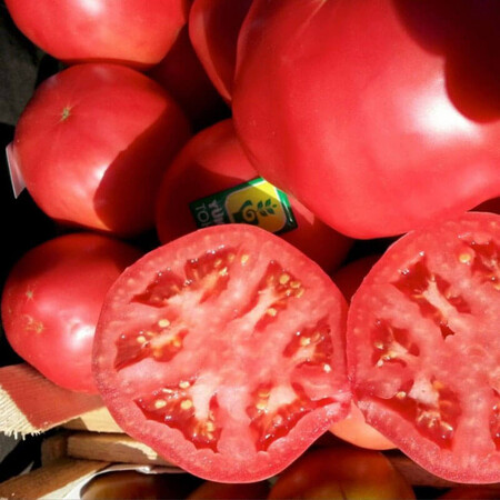 Насіння томату індетермінантного Пінк Роуз F1 Yuksel Tohum від 100 шт, Фасовка: Проф упаковка 100 шт | Agriks