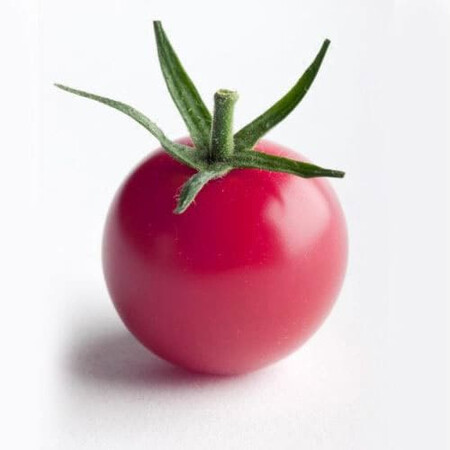 Насіння томату індетермінантного Ріанна F1 Sakata 250 шт, Фасовка: Проф упаковка 250 шт | Agriks
