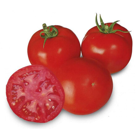 Насіння томату індетермінантного Песадо (1609) F1 Spark Seeds 250 шт, Фасовка: Проф упаковка 250 шт | Agriks