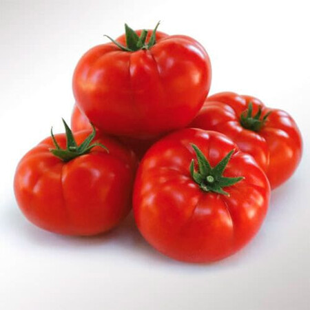 Насіння томату детермінантного 1503 F1 Spark Seeds від 500 шт, Фасовка: Проф упаковка 5 000 шт | Agriks