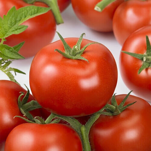 Насіння томату індетермінантного Ронда F1 Ergon від 100 шт, Фасовка: Проф упаковка 100 шт | Agriks