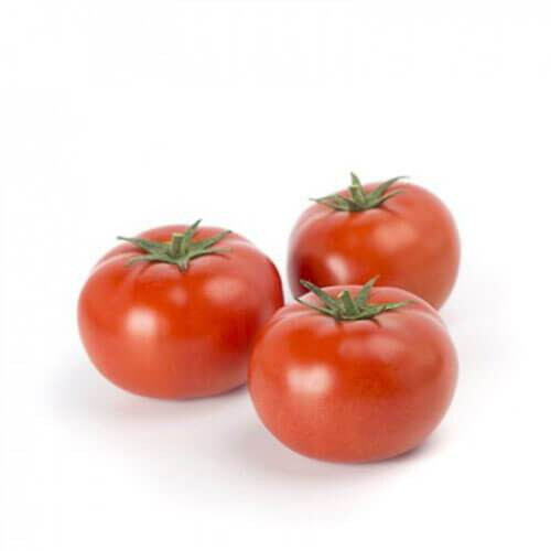 Насіння томату індетермінантного Уманья F1 Rijk Zwaan від 100 шт, Фасовка: Проф упаковка 1 000 шт | Agriks