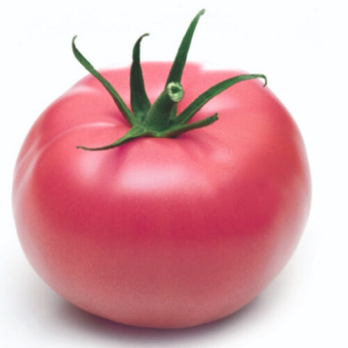 Насіння томату індетермінантного Пінк Харт F1 NongWoo Bio 250 шт, Фасовка: Проф упаковка 250 шт | Agriks
