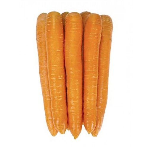 Насіння моркви Джерада F1 Rijk Zwaan від 25 000 шт (1,6-1,8), Фасовка: Проф упаковка 100 000 шт (2,0 - 2,2) | Agriks
