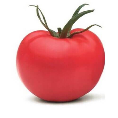 Насіння томату індетермінантного Пінк Парадайз F1 Sakata 500 шт, Фасовка: Проф упаковка 1 000 шт | Agriks