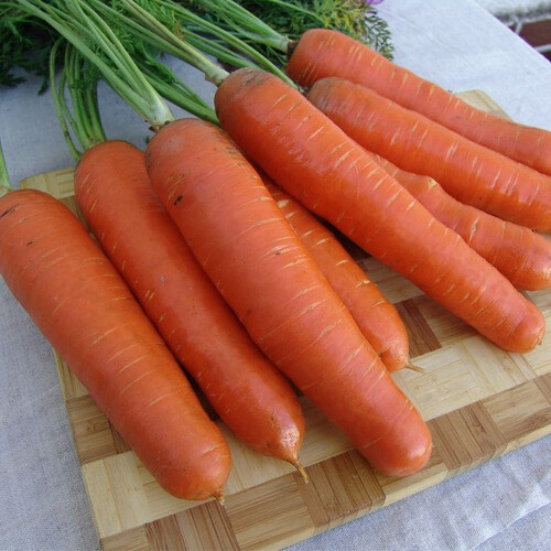 Насіння моркви Анета F1 Moravoseed 50 000 шт, Фасовка: Проф упаковка 1 000 000 шт | Agriks