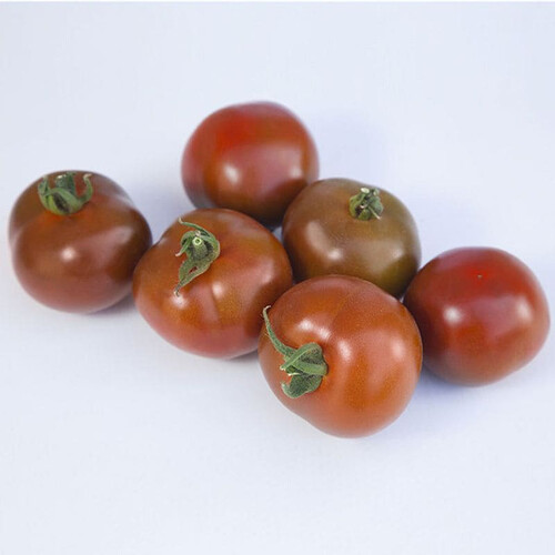 Семена томата индетерминантного КС 3900 F1 Kitano Seeds от 100 шт, Фасовка: Проф упаковка 100 шт | Agriks