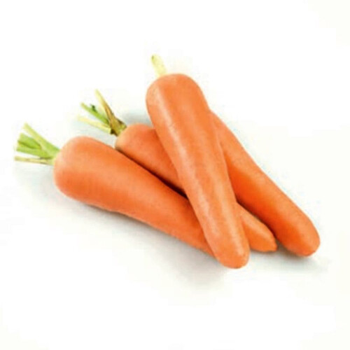 Насіння моркви Лес Саінтес F1 Seminis від 200 000 шт (1,6-1,8), Фасовка: Проф упаковка 200 000 шт (2,0 - 2,2) | Agriks