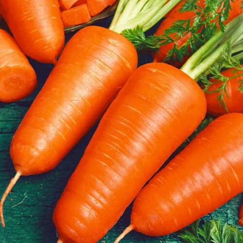 Семена моркови Шантане Красное Сердце Hazera 500 г | Agriks