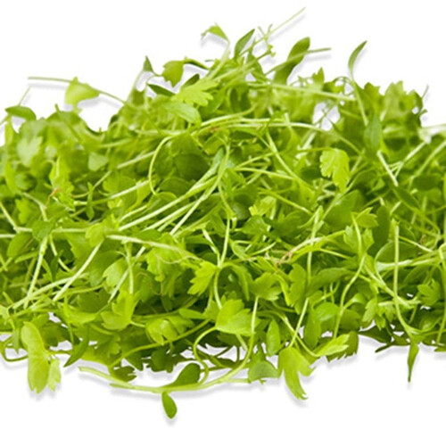 Семена микрозелени Сельдирей листовой 5 г (М/З) | Agriks