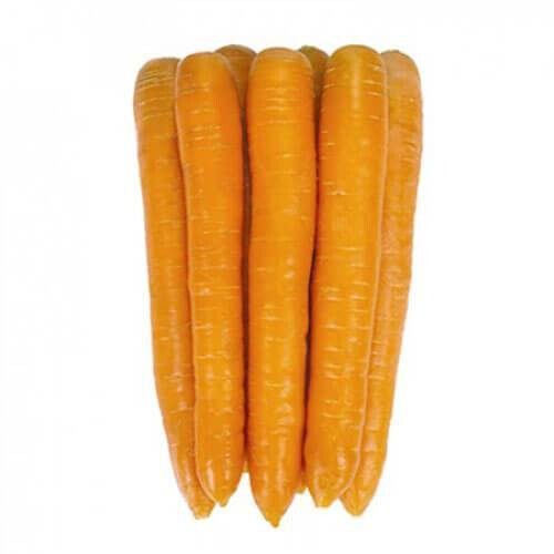 Насіння моркви Джерада F1 Rijk Zwaan від 25 000 шт (1,6-1,8), Фасовка: Проф упаковка 1 000 000 шт (1,6 - 1,8) | Agriks