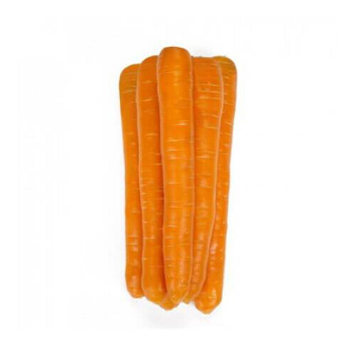 Семена моркови Морелия F1 Rijk Zwaan от 25 000 шт (1,6-1,8), Фасовка: Проф упаковка 1 000 000 шт (1,6 - 1,8) | Agriks