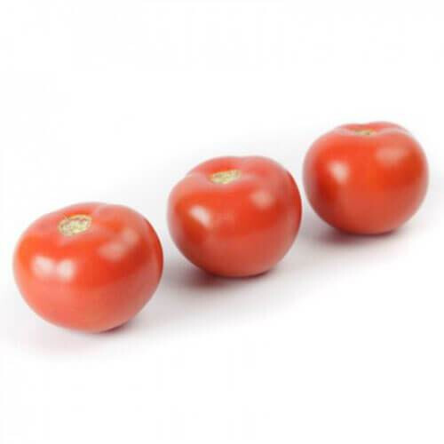 Насіння томату індетермінантного Аламіна F1 Rijk Zwaan від 100 шт, Фасовка: Проф упаковка 1 000 шт | Agriks
