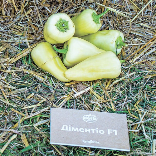 Семена перца Диментио F1 Syngenta от 10 шт, Фасовка: Проф упаковка 500 шт | Agriks