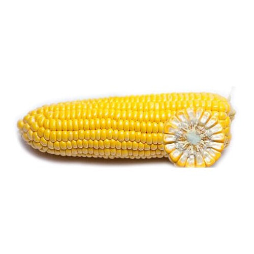 Семена кукурузы GSS 3071 F1 Syngenta 100 000 шт, Фасовка: Проф упаковка 100 000 шт | Agriks