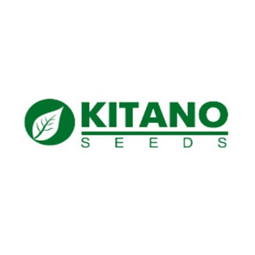 Насіння цибулі КС 765 F1 Kitano Seeds від 1 000 шт, Фасовка: Проф упаковка 10 000 шт | Agriks