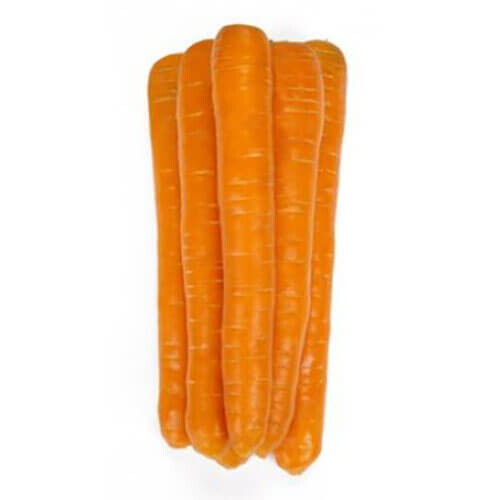Насіння моркви Морелія F1 Rijk Zwaan від 25 000 шт (1,6-1,8), Фасовка: Проф упаковка 1 000 000 шт (1,8 - 2,0) | Agriks