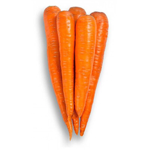 Насіння моркви Вармія F1 Rijk Zwaan від 25 000 шт (1,6-1,8), Фасовка: Проф упаковка 100 000 шт (1,8 - 2,0) | Agriks