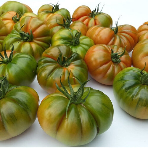 Насіння томату індетермінантного Єллоу Кой F1 Yuksel Tohum від 100 шт, Фасовка: Проф упаковка 500 шт | Agriks
