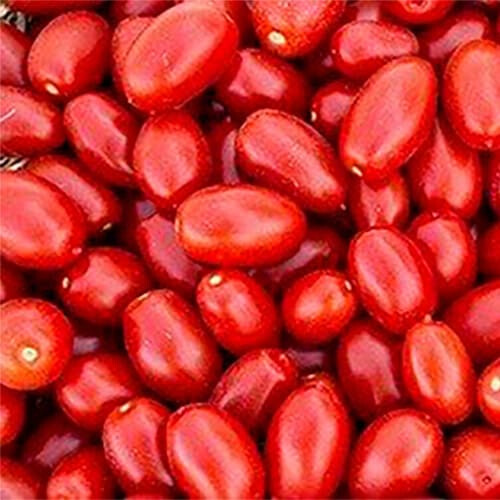 Насіння томату детермінантного Санміно F1 Syngenta від 10 шт, Фасовка: Проф упаковка 1 000 шт | Agriks
