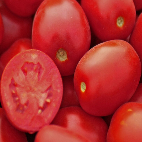 Семена томата детерминантного Пьетраросса F1 Clause от 20 шт, Фасовка: Мини упаковка 20 шт | Agriks