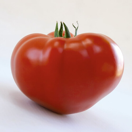 Насіння томату індетермінантного КС 204 F1 Kitano Seeds від 100 шт, Фасовка: Проф упаковка 1 000 шт | Agriks