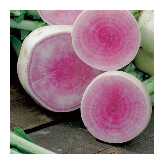 Семена редьки японской Ред Мит Takii Seed от 1 г, Фасовка: Мини упаковка 1 г | Agriks