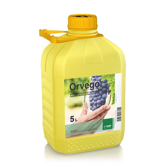 Фунгицид Орвего КС BASF 5 л | Agriks