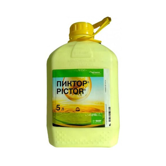 Фунгицид Пиктор КС BASF 5 л, Фасовка: Канистра 5 л | Agriks