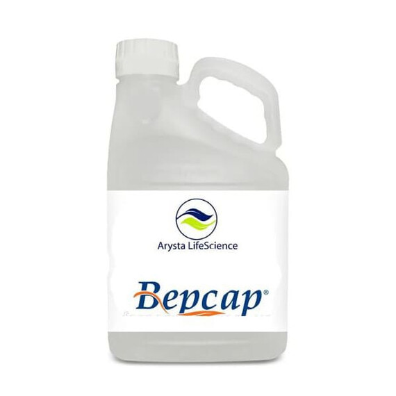 Інсектицид Версар КЕ Arysta LifeScience 20 л, Фасовка: Каністра 20 л | Agriks