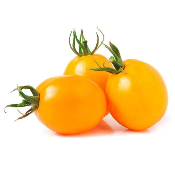 Семена томата детерминантного Флоренс F1 Libra Seeds 1 000 шт | Agriks