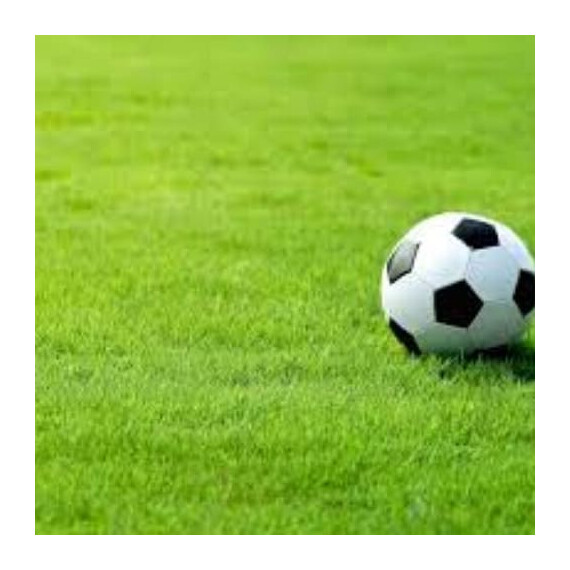 Газонна трава Спортивна / Sport DLF Trifolium (Данія) 100 г, Фасовка: Проф упаковка 1 кг | Agriks