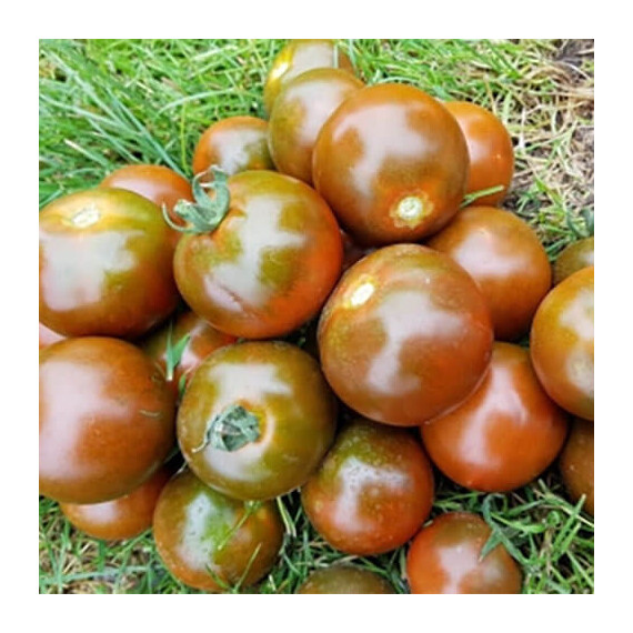 Мавр F1 Lark Seeds 1 000 шт | Agriks