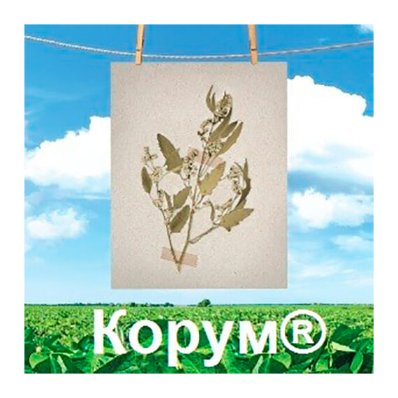 Гербицид Корум РК BASF 1 л | Agriks