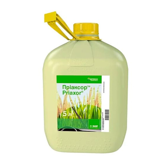 Фунгіцид Пріаксор КЕ BASF 5 л | Agriks