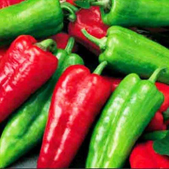 Насіння солодкого перцю Дерма Semo 100 шт, Фасовка: Проф упаковка 100 шт | Agriks