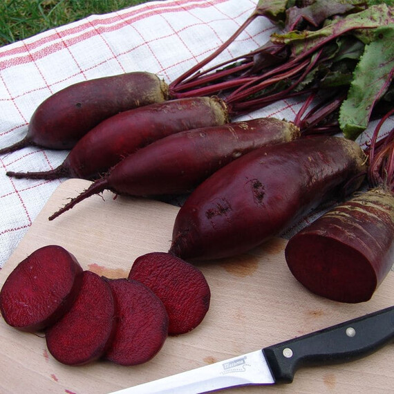 Насіння столового буряка Ренова Moravoseed від 100 г, Фасовка: Проф упаковка 100 г | Agriks