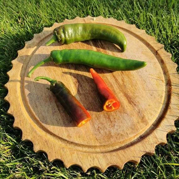 Насіння перцю гострого Хірош Innova Seeds від 100 шт, Фасовка: Проф упаковка 100 шт | Agriks
