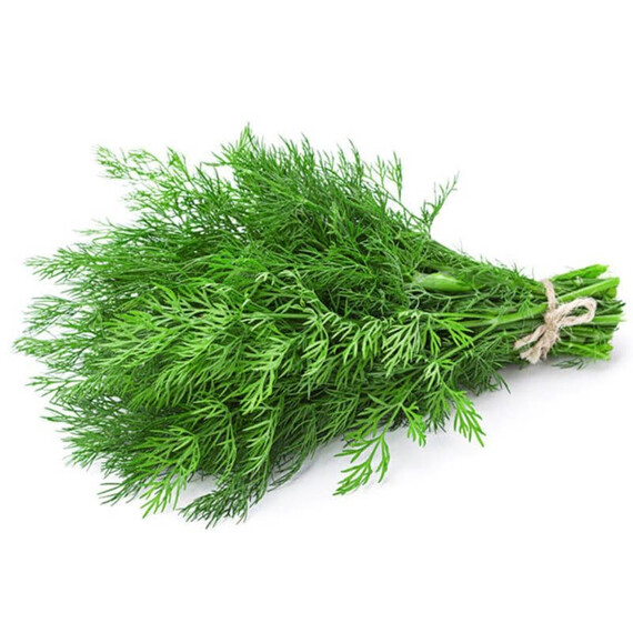 Насіння кропу Брум Lark Seeds 100 г, Фасовка: Проф упаковка 100 г | Agriks