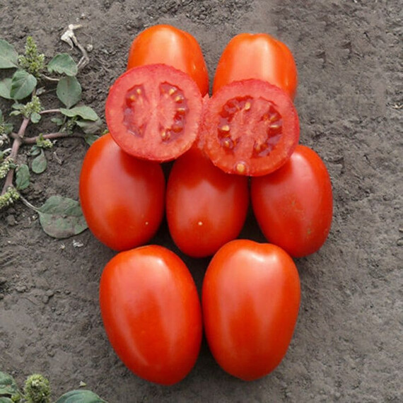 Семена томата детерминантного 1785 F1 Lark Seeds 5 000 шт | Agriks