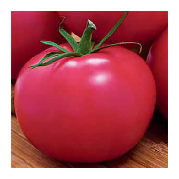 Семена томата детерминантного Пинк Hortus от 0,5 г, Фасовка: Мини упаковка 0,5 г | Agriks