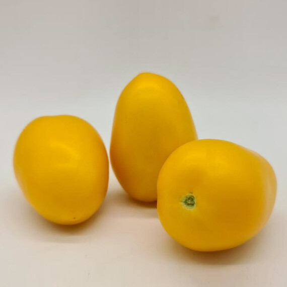 КС 221 F1 Kitano Seeds насіння томату індетермінантного, Фасовка: Проф упаковка 100 шт | Agriks