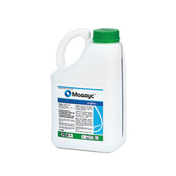 Регулятор росту Моддус 250 EC Syngenta 5 л, Фасовка: Каністра 5 л | Agriks