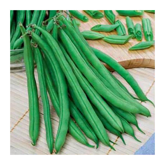 Семена фасоли Скуба Hortus от 250 г, Фасовка: Проф упаковка 250 г | Agriks