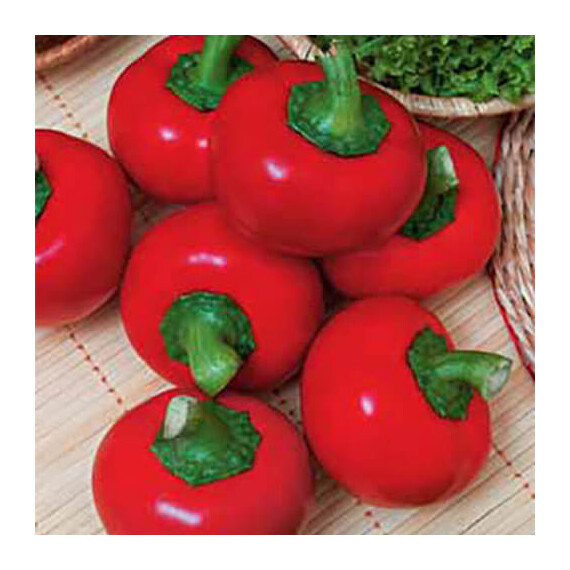Семена перца Черри красный острый Hortus 10 г, Фасовка: Проф упаковка 10 г | Agriks