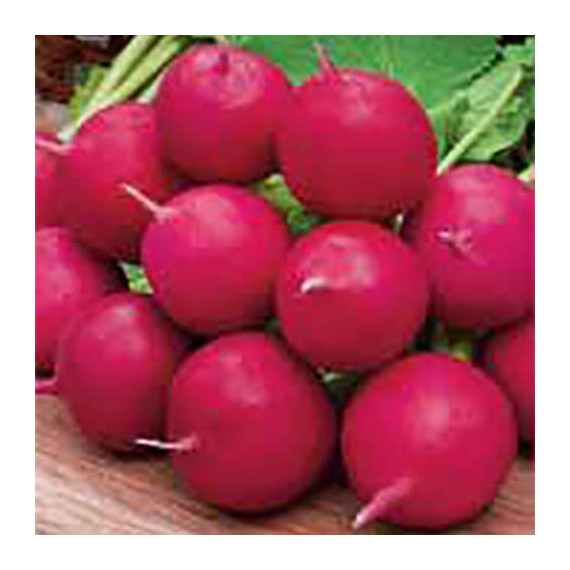 Семена редиса Черри Белле Satimex 250 г, Фасовка: Проф упаковка 250 г | Agriks
