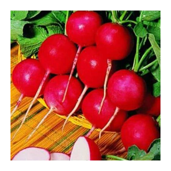 Семена редиса Гиганте Сикуло Sais 5 кг, Фасовка: Проф упаковка 500 г | Agriks