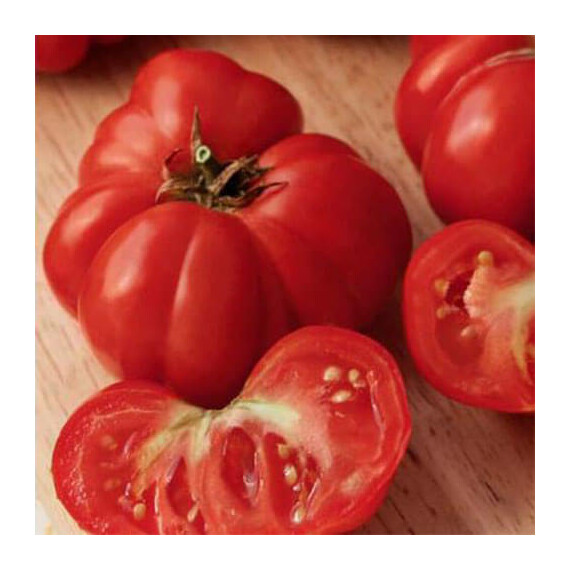 Фиорентинский Hortus 500 г, Фасовка: Проф упаковка 500 г | Agriks